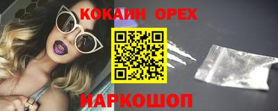 Альфа ПВП Малгобек