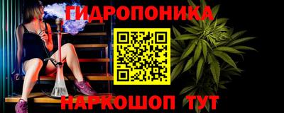 Альфа ПВП Малгобек